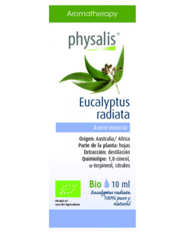 Aceite Esencial de Eucalipto Radiata 10 ml – Physalis