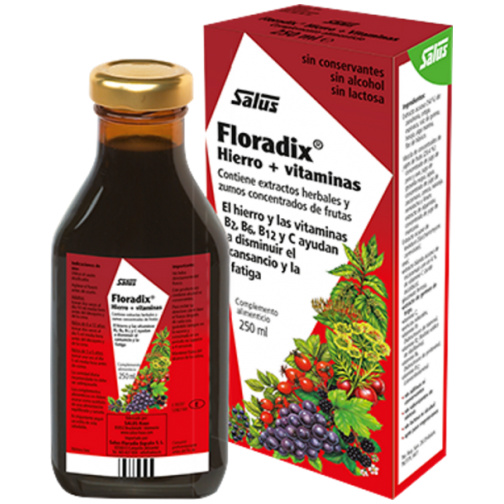 Floradix Jarabe 250 ml