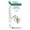 Equisalud- BIO ESSENTIAL OILS eucalipto aceite esencial 10ml.