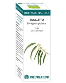 BIO ESSENTIAL OILS eucalipto aceite esencial 10ml. – Equisalud