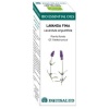 Equisalud- BIO ESSENTIAL OILS lavanda aceite esencial 10ml.