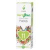 Novadiet - Herbodiet Ext.Fluido Fucus 50Ml.