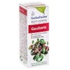 Esential Aroms- GAULTHERIA aceite esencial 10ml. Esentialaroms