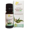 EUCALIPTUS RADIE aceite esencial difusion 10ml.**