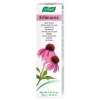 A.Vogel - Crema Echinacea 35Gr.