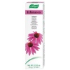 A.Vogel - Dentaforce Echinacea Pasta 100Gr.