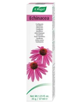 Dentaforce Echinacea Pasta 100Gr. – A.Vogel