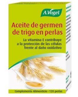 Aceite Germen De Trigo 120Perlas – A.Vogel
