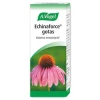 A.Vogel - Echinaforce 100Ml.