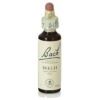 Flores Bach Original - Flores Bach Beech Haya 20Ml.