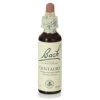 Flores Bach Original - Flores Bach Centaury Centaura Menor 20Ml.