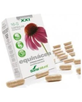 Cap.S 16 Echinacea Xxi 30Cap. – Soria Natural