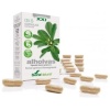 Soria Natural - Cap.S 03 Alholva Xxi 30Cap.