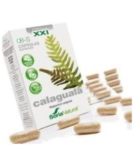 Cap.S 08 Calaguala Xxi 30Cap. – Soria Natural