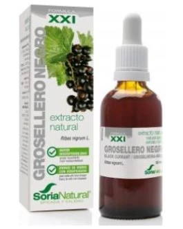 Ext. Grosellero Negro Xxi 50Ml. S/Al – Soria Natural