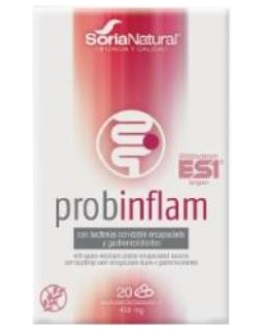Probinflam 20Cap. – Soria Natural