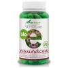 Soria Natural - Verde De Echinacea 80Cap.