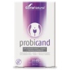 Soria Natural - Probicand 20Cap.