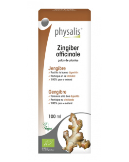 Tintura de Jengibre 100 ml – Physalis