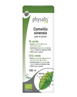 Tintura de Té Verde 100 ml – Physalis