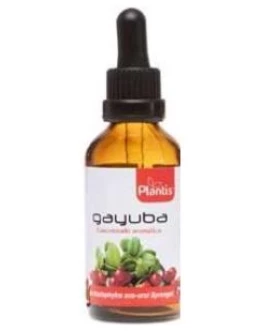 Ext.Gayuba 50Ml Maese Herbario Artesania