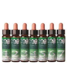 Remedio Plantis Nº 8 Descanso Nocturno 10Ml. Eco Artesania