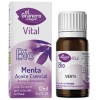 EL GRANERO INTEGRAL-ESENCIAL MENTA BIOLOGICO 12ML (GRANERO)