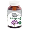 EL GRANERO INTEGRAL-ASTRAGALUS FORTE 60 COM.625MG. (GRANE)