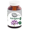 EL GRANERO INTEGRAL-ASTRAGALUS FORTE 60 COM.625MG. (GRANE)