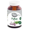 EL GRANERO INTEGRAL-PYLBAC (OREGANO ESPAÑOL) 60PERL. (GRA)