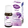 EL GRANERO INTEGRAL-ESENCIAL LAVANDA BIOLOGICO 12ML. (GRA)