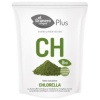 EL GRANERO INTEGRAL-CHLORELLA BIO 200 GR (GRANERO)