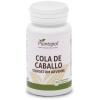 PLANTA POL-COLA CABALLO 100COMP. 550MG. (P.POL)