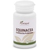 PLANTA POL-EQUINACEA 100 COMP. 400MG. (P.POL)