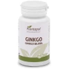 PLANTA POL-GINKGO BILOBA 100COMP. 600MG. (P.POL)