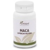 PLANTA POL-MACA 90C. 560M. (P.POL)