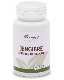 Jengibre 60Caps 600Mg (Planta Pol)