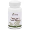 PLANTA POL-TRIBULUS 90 COMPRIMIDOS (PLANTA POL)