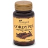 PLANTA POL-CORDYPOL (CORDIC.SINEN) 60 CAP.(P.POL)