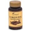 PLANTA POL-CORDYPOL (CORDIC.SINEN) 60 CAP.(P.POL)