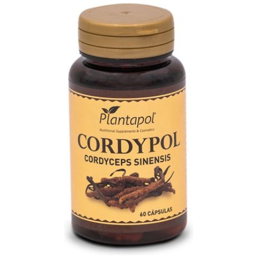 PLANTA POL-CORDYPOL (CORDIC.SINEN) 60 CAP.(P.POL)