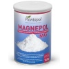 PLANTA POL-MAGNEPOL (CARBONATO MAGNESIO) BOTE 140GR PLANTA POL