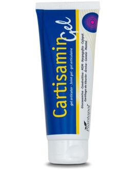 Cartisamin Gel 120Ml. (Pol)