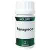 EQUISALUD-HOLOFIT FENOGRECO 50CAP (EQUISALUD)