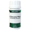 EQUISALUD-HOLOFIT CURCUMA PLUS 50CAP (EQUISALUD)