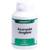 EQUISALUD-HOLOFIT AYURVEDA JENGIBRE 180 CAP (EQUISALUD)