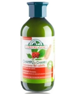 CHAMPU GINSENG Y GINKGO reforzante 300ml – Corpore Sano