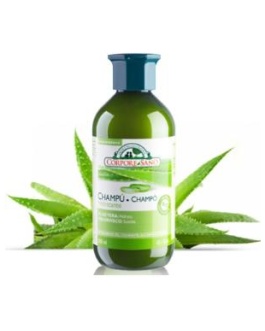 CHAMPU ALOE VERA  hidratante 300ml. – Corpore Sano