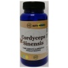 Alfa Herbal- CORDYCEPS SINENSIS 70cap.