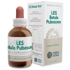 Forza Vitale- LES BETULA PUBESCENS abedul 50ml.